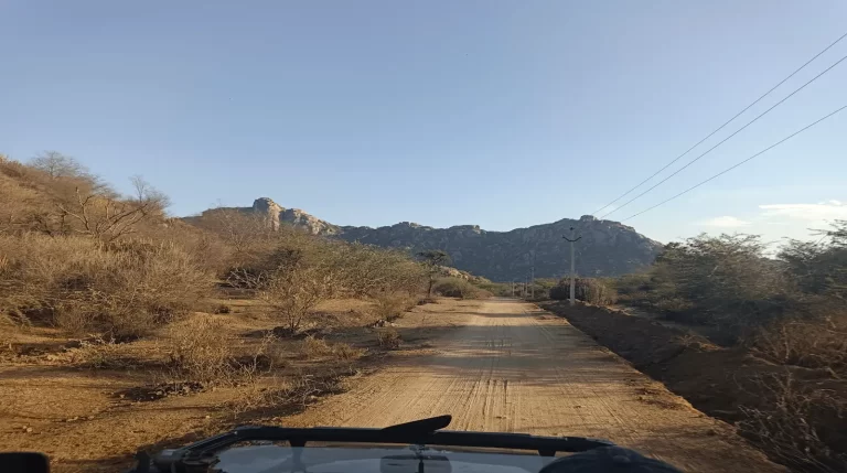 Jodhpur to Jawai Day Trip: The Honest One-Day Plan