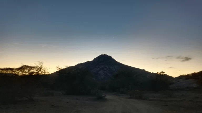 Jawai in Winter (October–February): The Season That Sells Out and Why