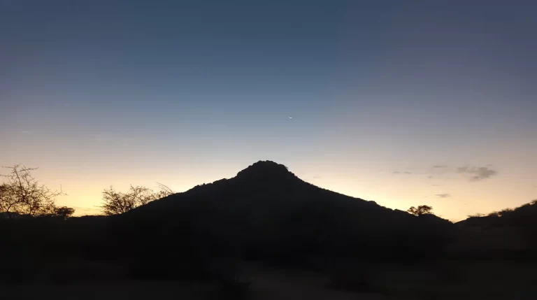 Why Night Safaris Are Banned in Jawai — and Why That’s Good for Sightings