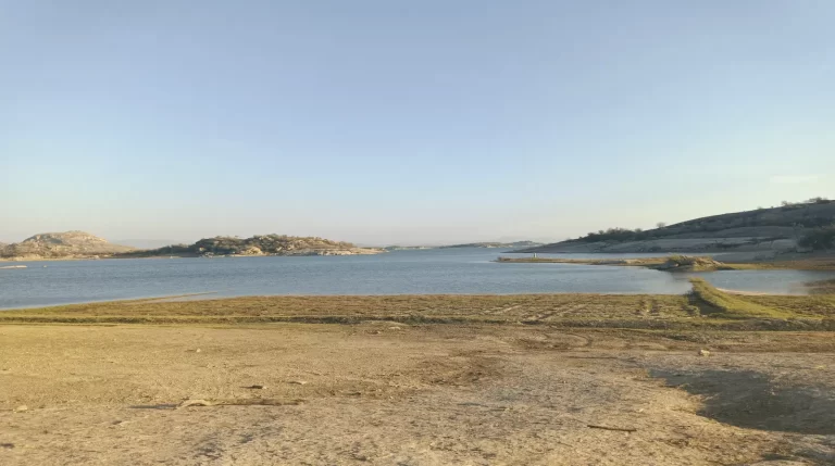 How the Water Level Shapes the Safari: A Season-by-Season Reading