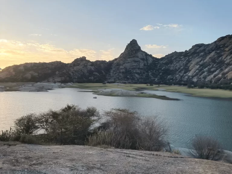Solo in Jawai: Logistics, Safety and the Cost Reality