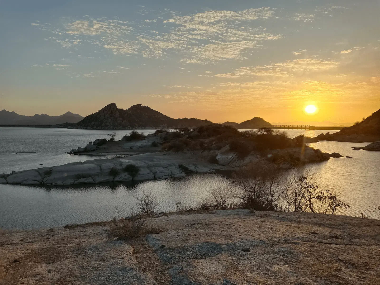 Jawai Lake Sunset Tree Silhouette