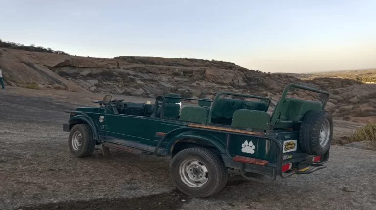 Safari Etiquette in Jawai: The Rules That Now Carry Real Penalties