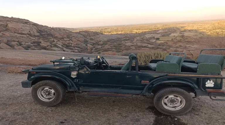 Private vs Shared Jeep in Jawai: What You Give Up to Save Money