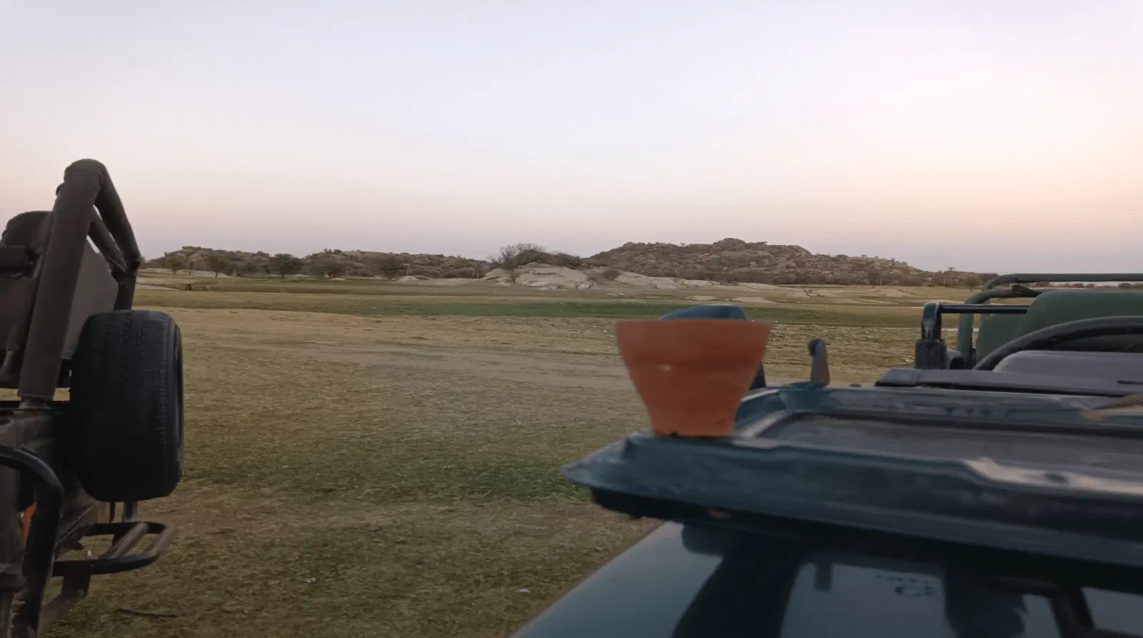 Safari Jeep With Pot Grassland Dusk